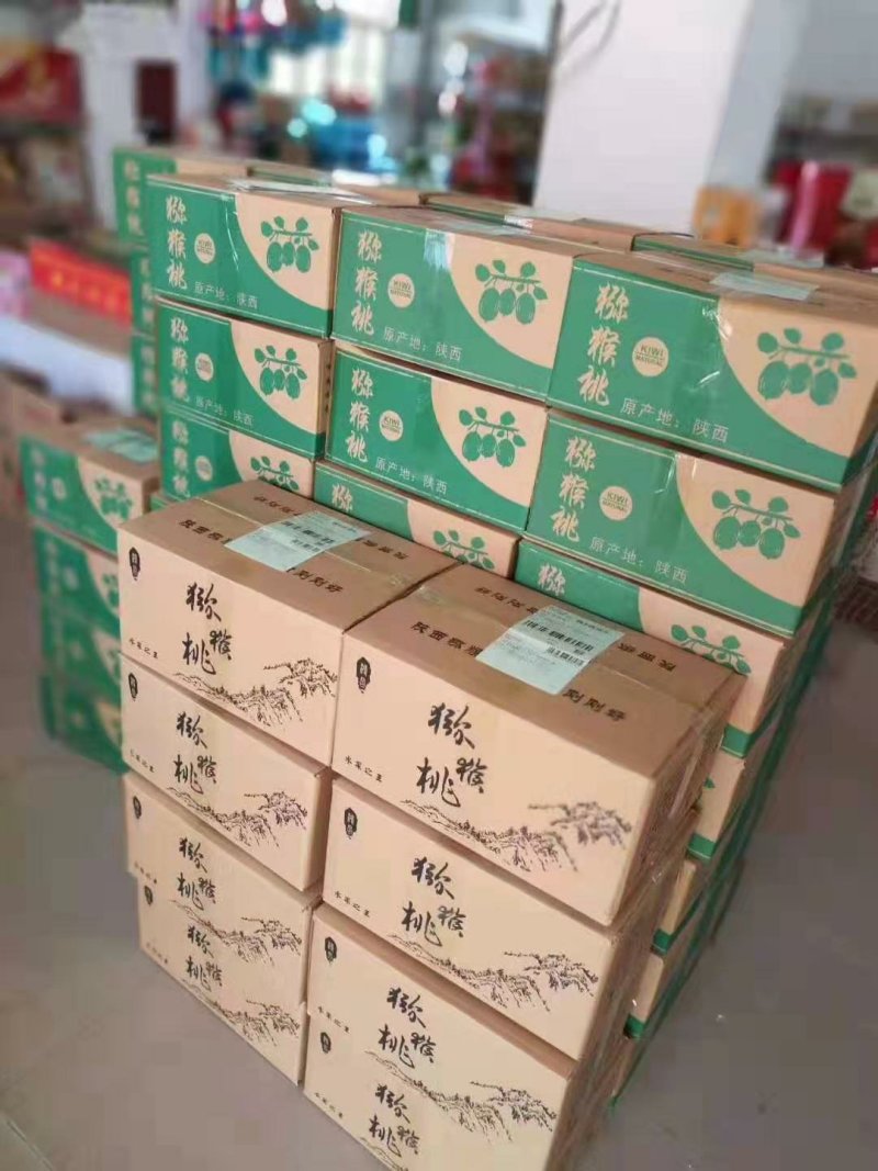 山东淄博博山源泉猕猴桃