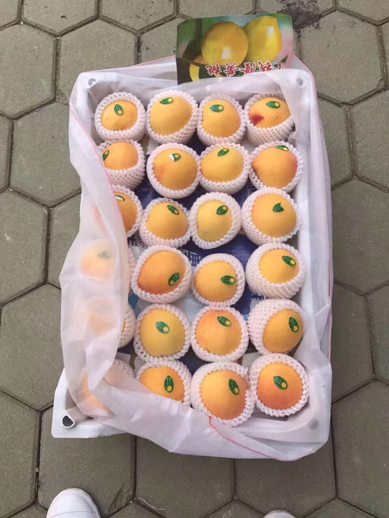 大连黄桃，红桃大量上市