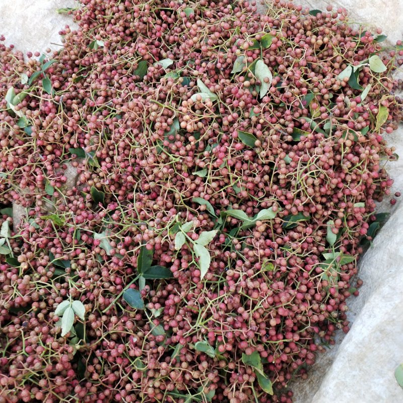 【热销】山东特级大红袍花椒产地直发货源充足颗粒大新货量大优惠