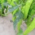 润丰蔬菜货站