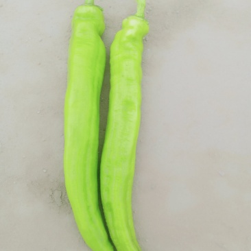 润丰蔬菜货站
