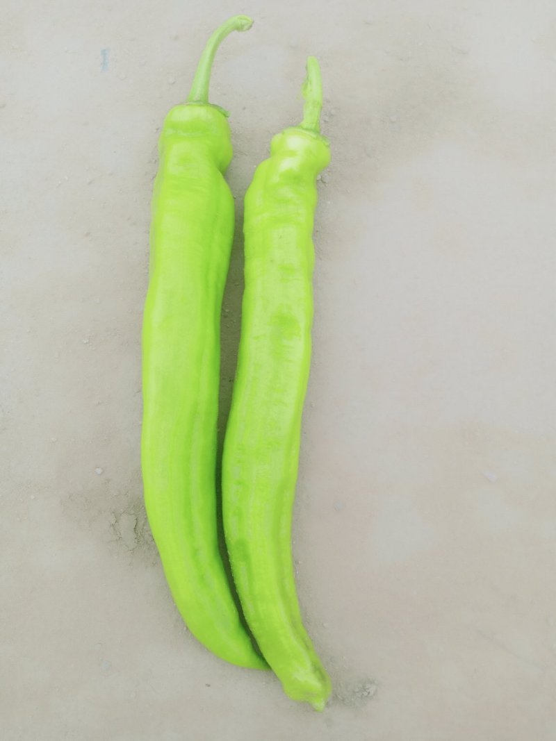 润丰蔬菜货站