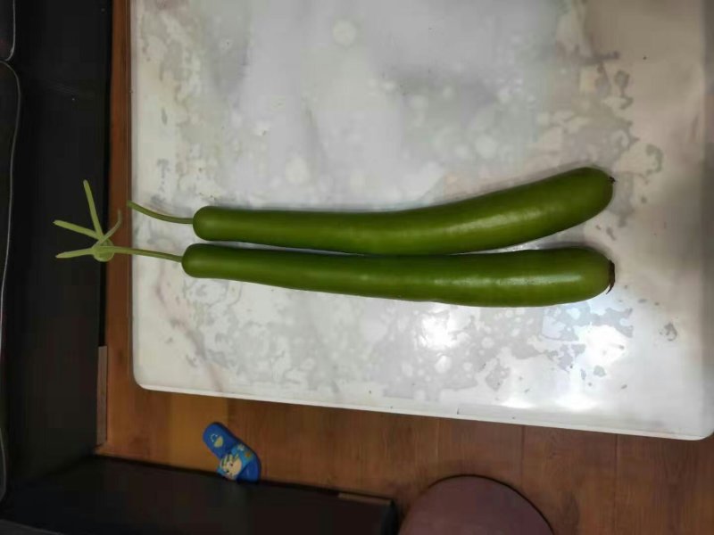 胡子瓜