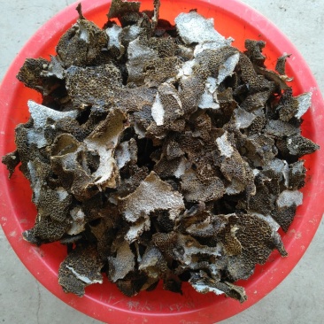 长群竹荪帽，足干货无霉无杂无硫，产地一手货源