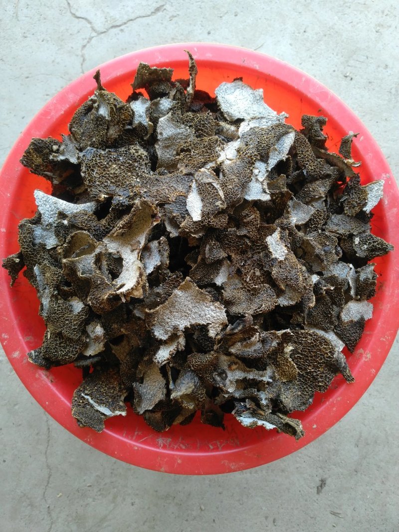 长群竹荪帽，足干货无霉无杂无硫，产地一手货源