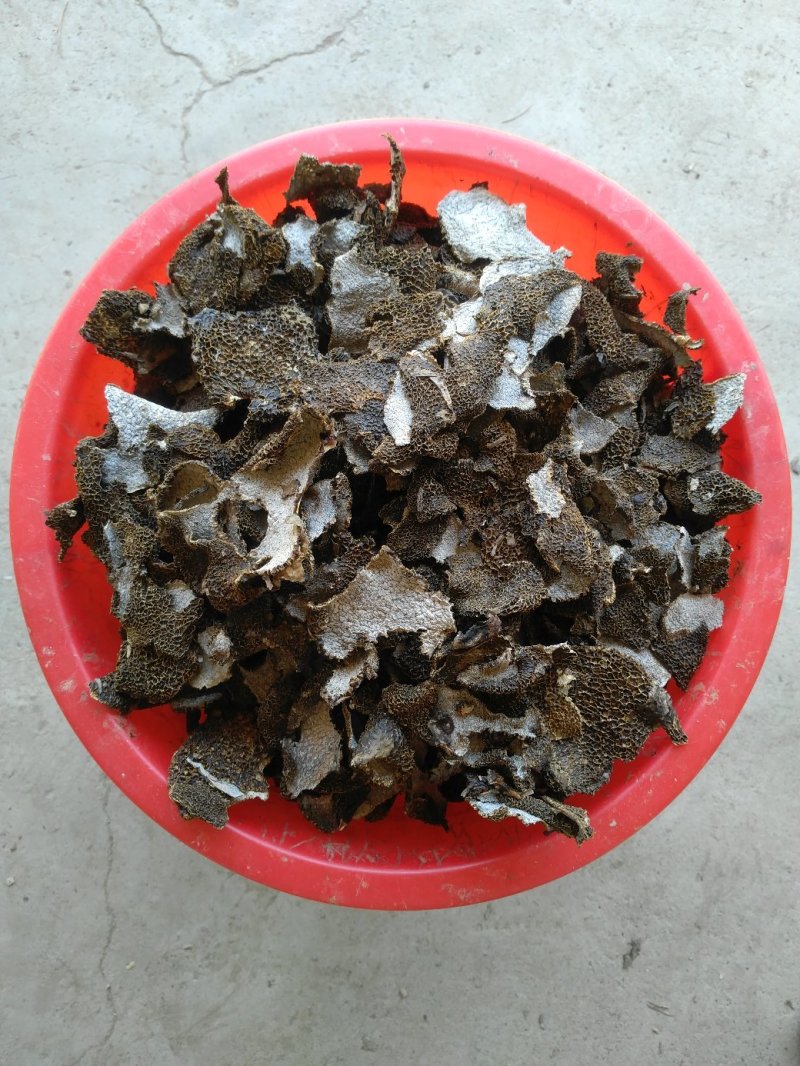 长群竹荪帽，足干货无霉无杂无硫，产地一手货源