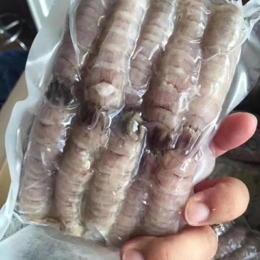 皮皮虾肉虾婆虾爬手工制作，支持定制，厂家直营