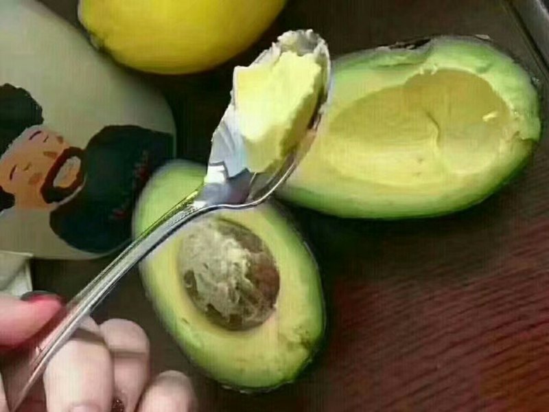 牛油果树苗美国哈斯牛油果苗树苗鳄梨牛油果苗