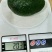 牛油果树苗美国哈斯牛油果苗树苗鳄梨牛油果苗