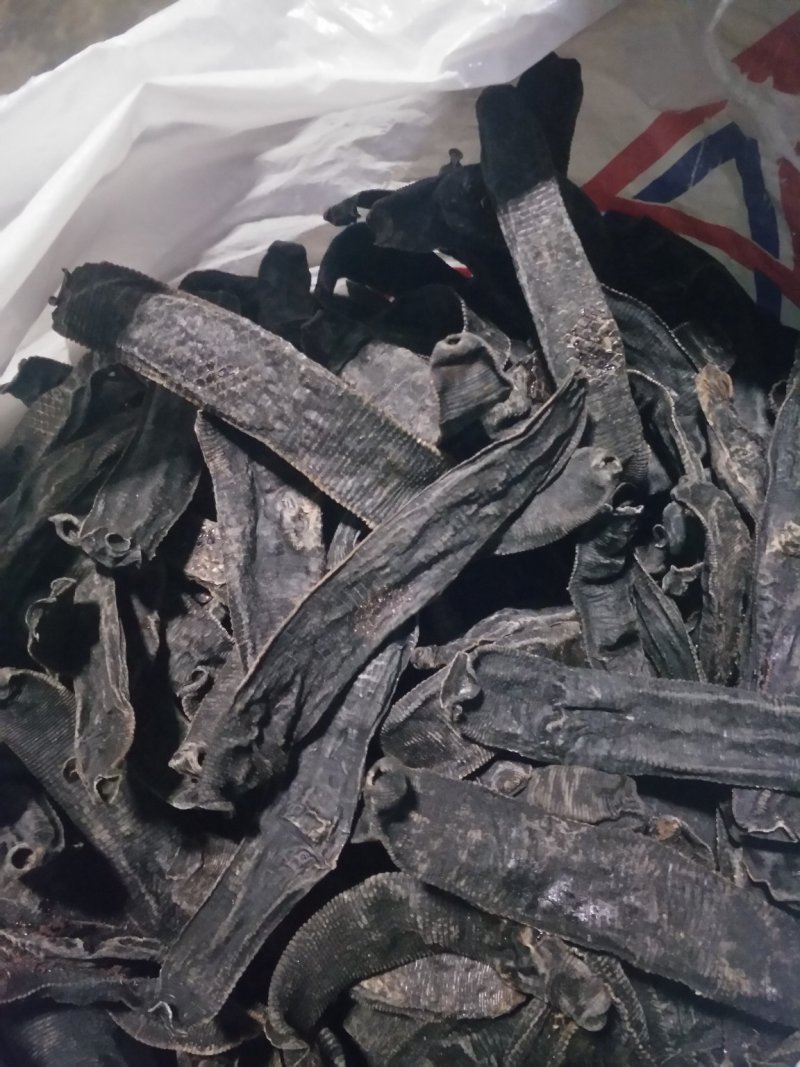 水蛭，蚂蝗干货，人工采收，加工，晒干，药用价值高