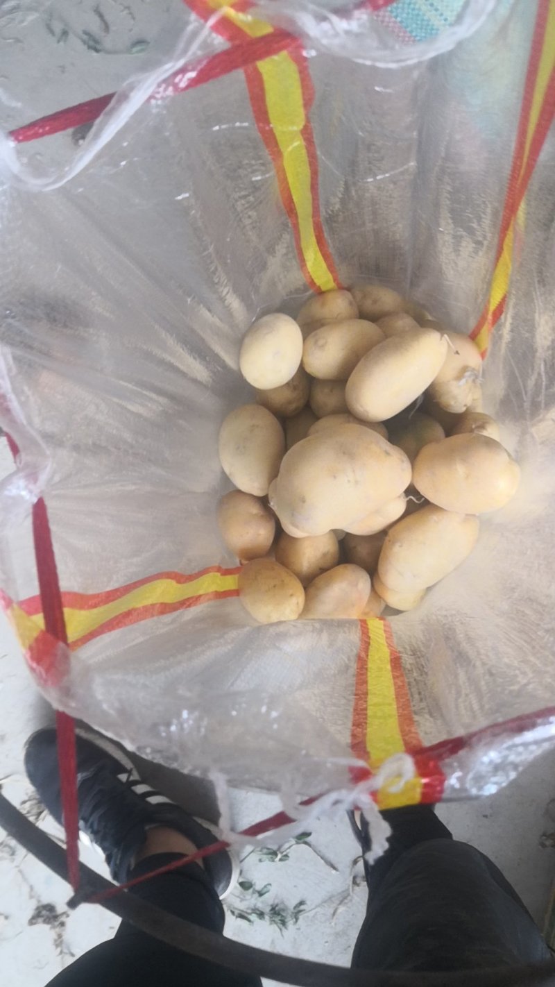 阿克苏精品中果，精品套袋商品薯