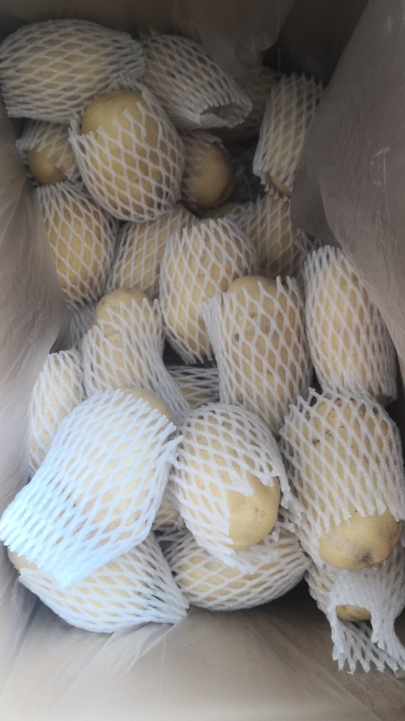 阿克苏精品中果，精品套袋商品薯