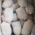 阿克苏精品中果，精品套袋商品薯