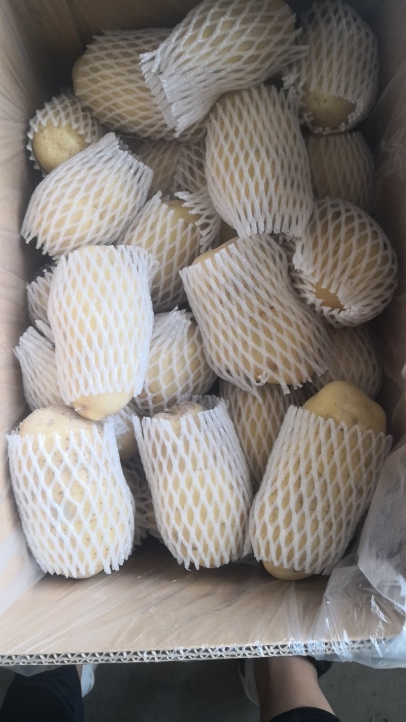阿克苏精品中果，精品套袋商品薯