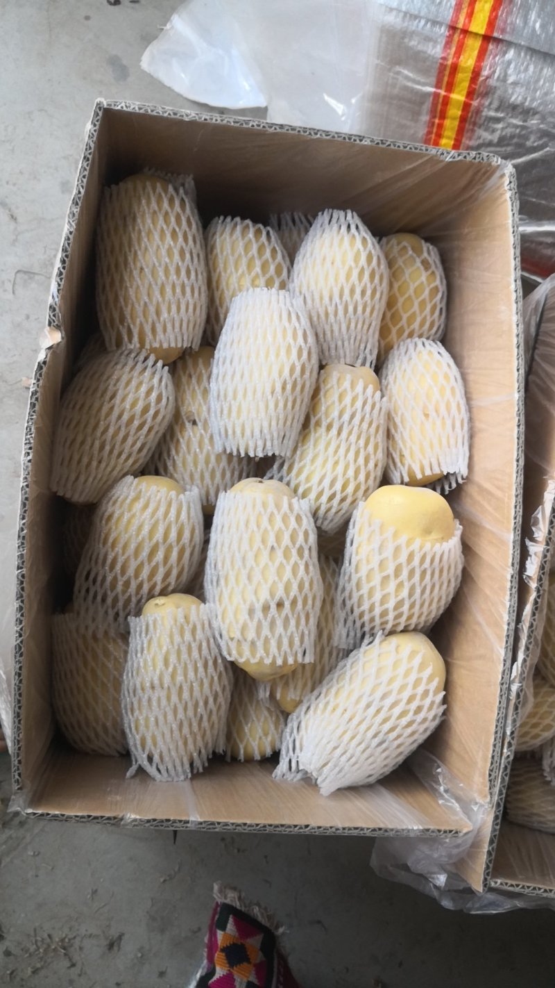 阿克苏精品中果，精品套袋商品薯