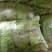 地瓜粉条山东粉条纯手工量大价优品质保证欢迎咨询