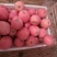 红富士苹果