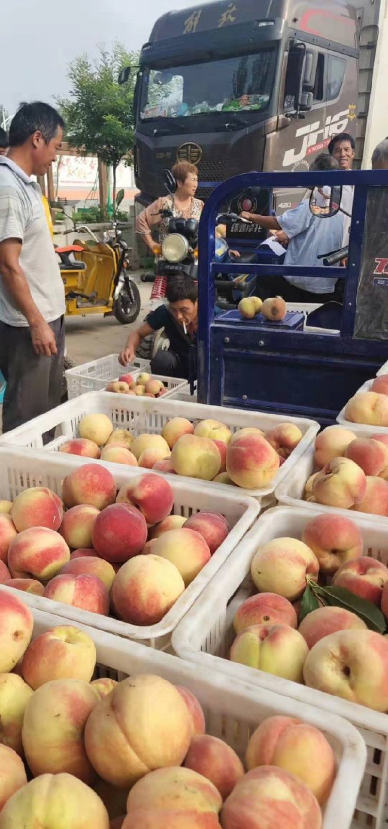 各种桃大量上市