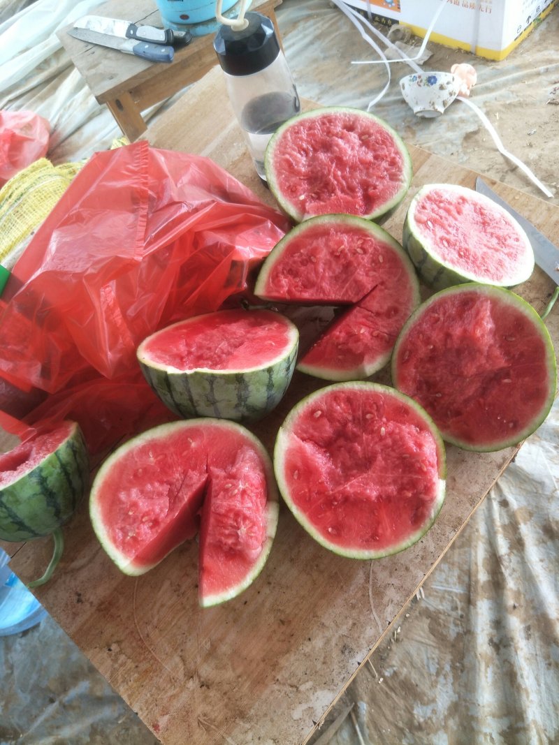 蜜童西瓜