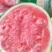 蜜童西瓜