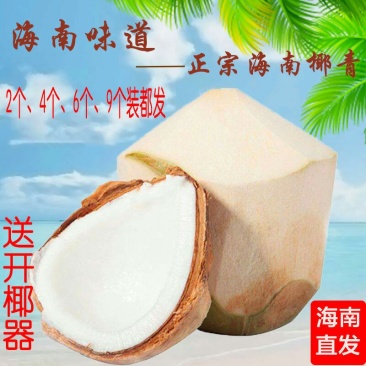 SF海南文昌椰青新鲜椰子，顺丰包邮