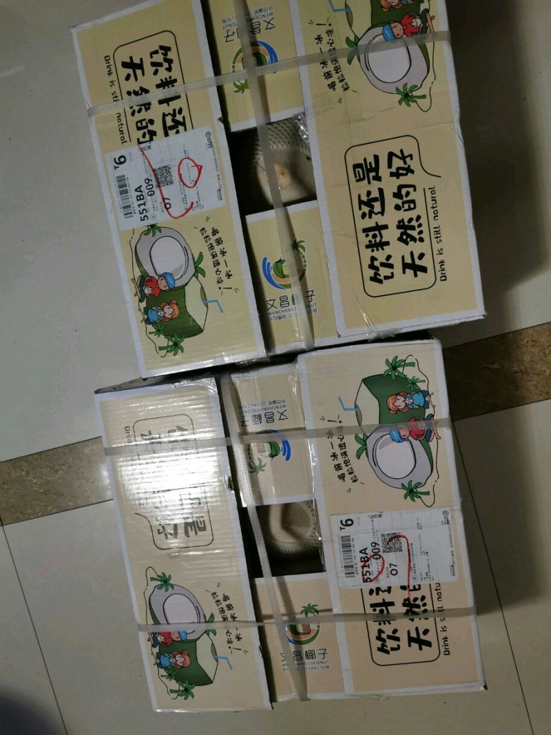 SF海南文昌椰青新鲜椰子，顺丰包邮