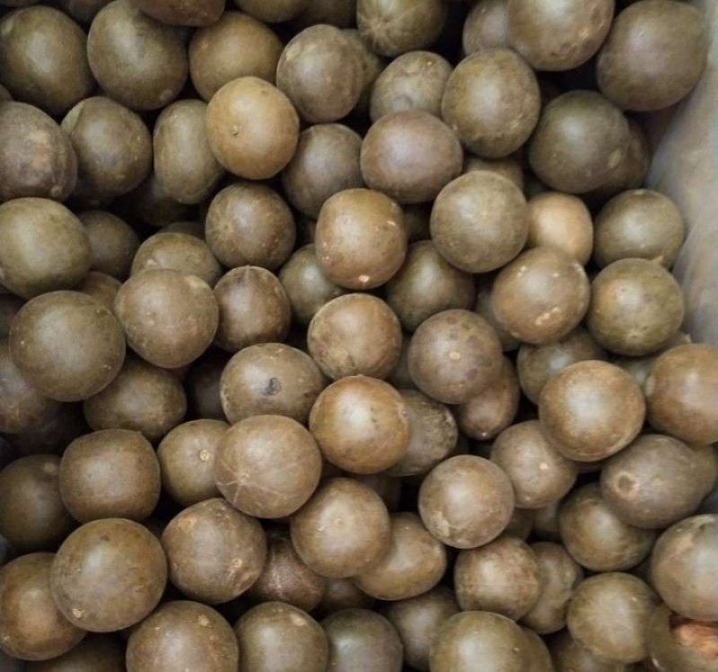 罗汉果正品产新大果手选规格泡水味甘甜批发零售