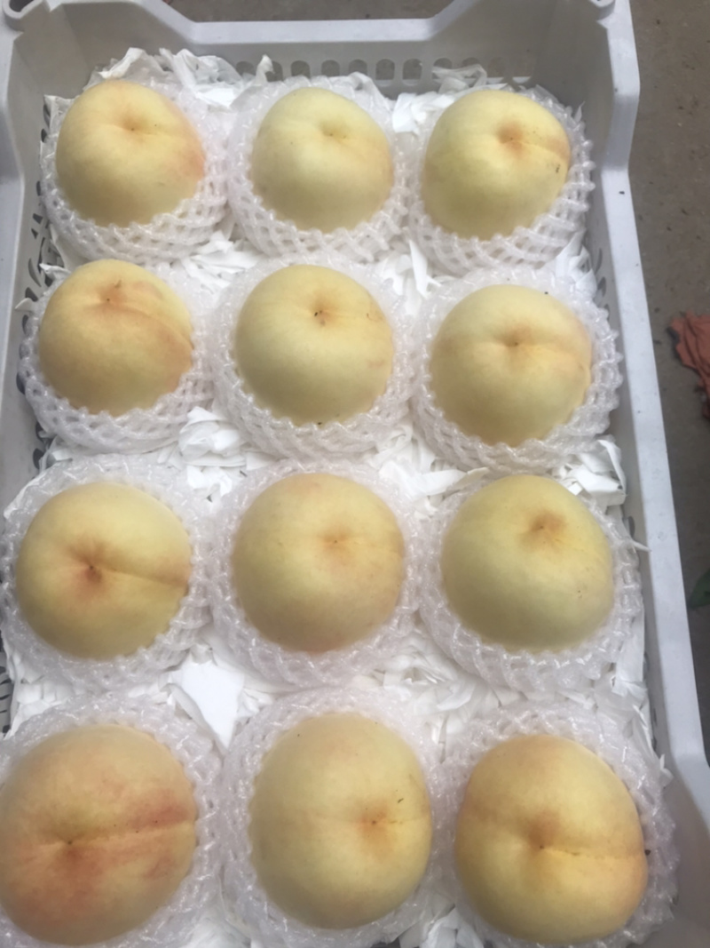 能撕皮直接用吸管喝的水蜜桃