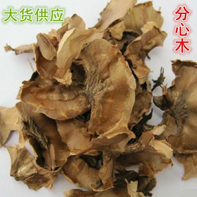 分心木千余品种承接订单