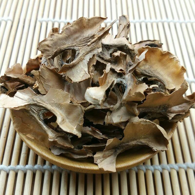 分心木千余品种承接订单