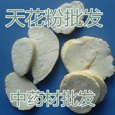 天花粉千余品种供应承接订单