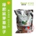 鼠毛草种子鼠茅草种子嘉禾源硕鼠茅草种子