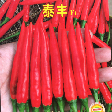 “泰丰”青红两用，大果型，抗性好，产量高，早熟