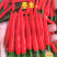 “泰丰”青红两用，大果型，抗性好，产量高，早熟