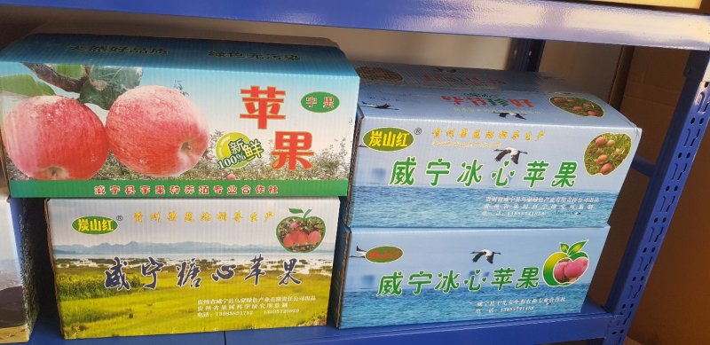 糖心苹果2001