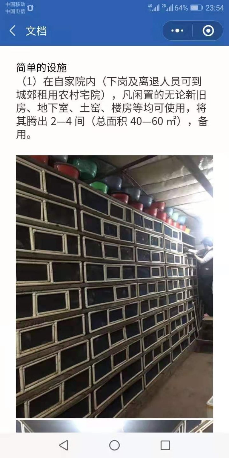 白玉蜗牛一个年挣百万的新型行业
