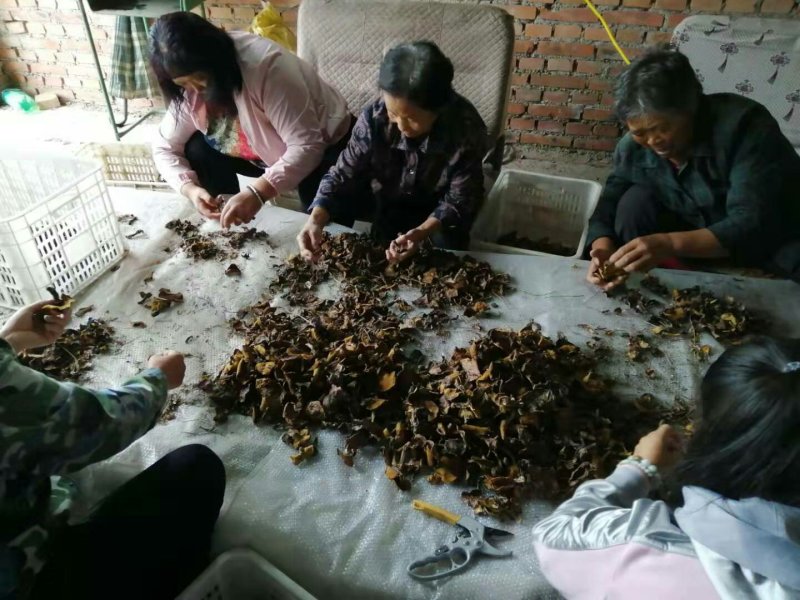 野生松蘑烤干，需要货的老板直接电联