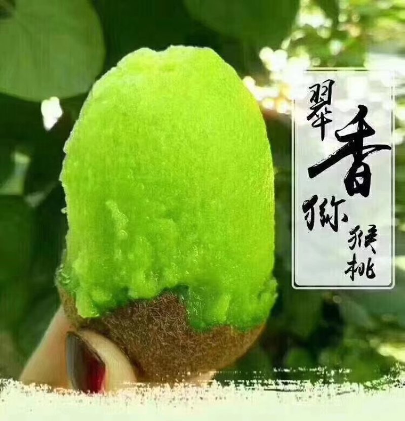 翠香猕猴桃
