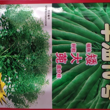 丰油10号油菜籽种子，高产600斤，含油量48%宜机收