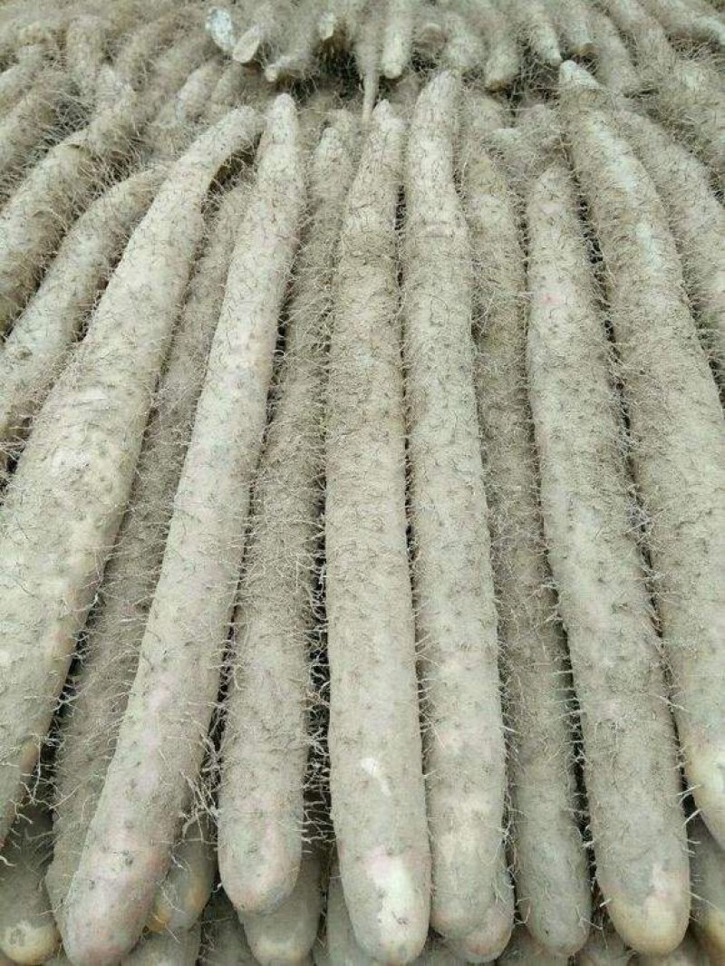 大量供应，以质订价，价格公平，货源充足，现挖现装，