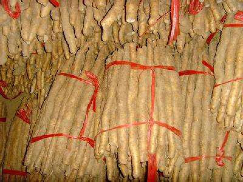 大量供应，以质订价，价格公平，货源充足，现挖现装，
