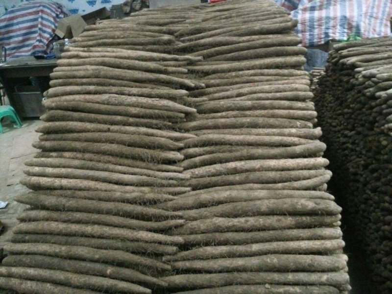 大量供应，以质订价，价格公平，货源充足，现挖现装，