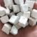 新鲜茯苓原产地长期供应超高性价比值得期待