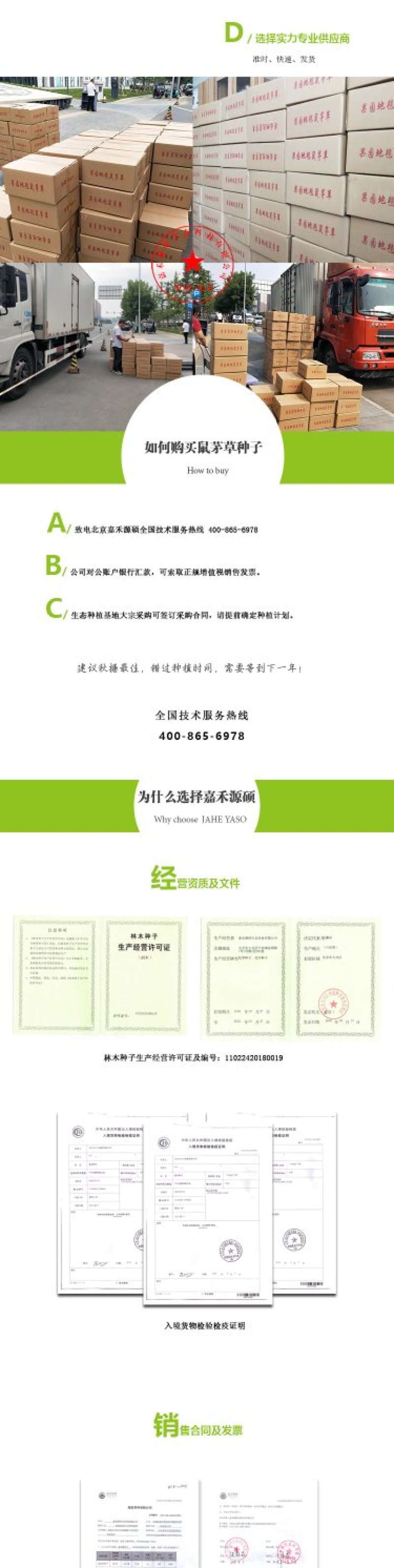 鼠茅草种子进口鼠茅草种子嘉禾源硕