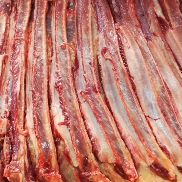 马肉