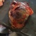 冷冻马肉