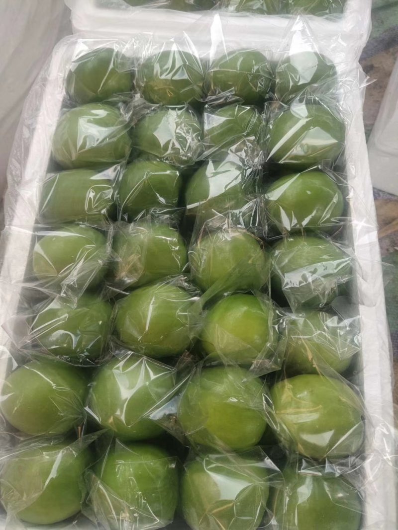 优质云南元谋青枣，独特的金沙江干热河谷气候环境