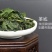 蒲公英茶送礼礼盒纯正