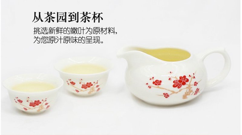 蒲公英茶送礼礼盒纯正