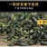 蒲公英茶送礼礼盒纯正